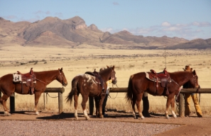 Arizona's landscape