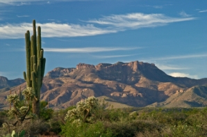 Arizona's landscape