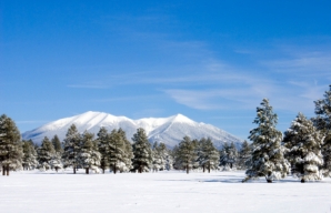 Arizona's landscape