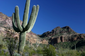 Arizona's landscape