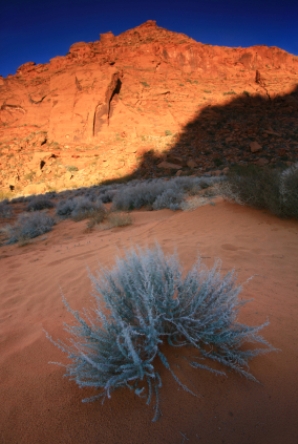 Arizona's landscape