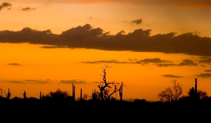 Arizona's landscape