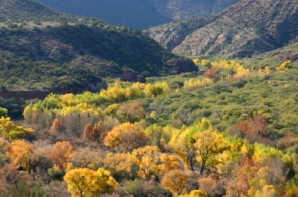 Arizona's landscape