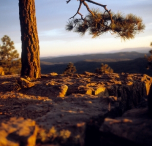 Arizona's landscape