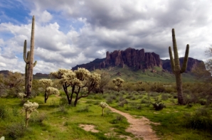 Arizona's landscape