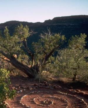 Arizona's landscape