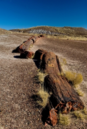 Arizona's landscape